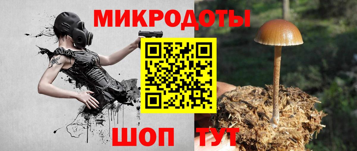 Галлюциногенные грибы Psilocybine cubensis  где найти наркотики  Бердск  Вход с VPN 